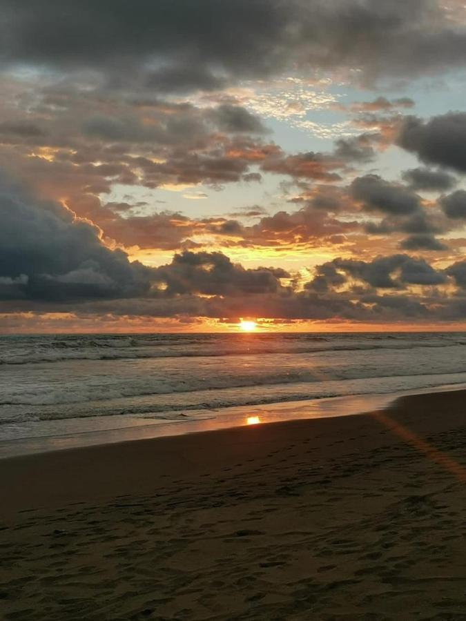 Agradable Frente Al Mar Parrita